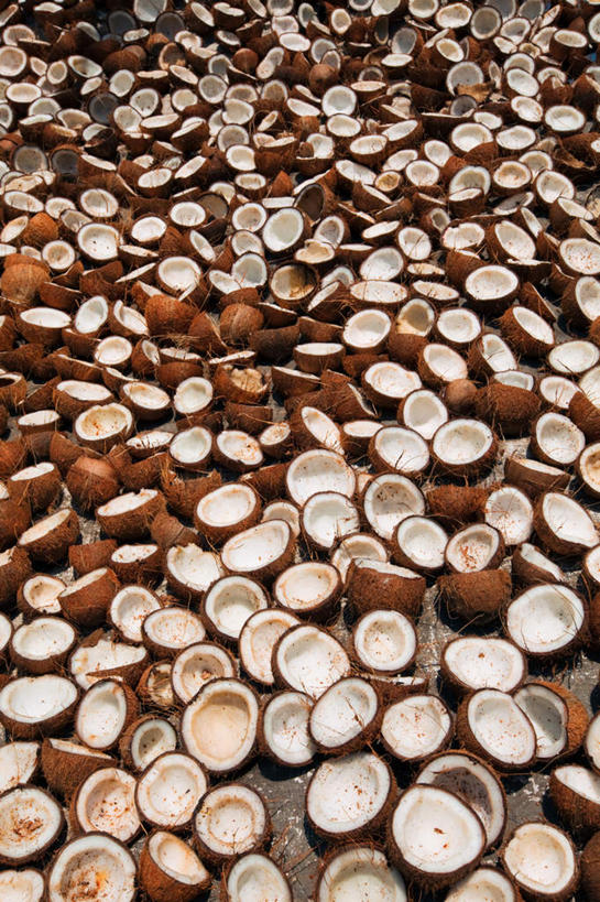 无人,竖图,俯视,室外,特写,白天,椰子,水果,印度,亚洲,一堆,许多,堆叠,堆积,新鲜,生食,食品,果实,很多,食物,有机食品,绿色食品,堆,南亚,喀拉拉邦,印度共和国,大椰,胥余,椰瓢,越王头,喀拉拉,彩图,高角度拍摄