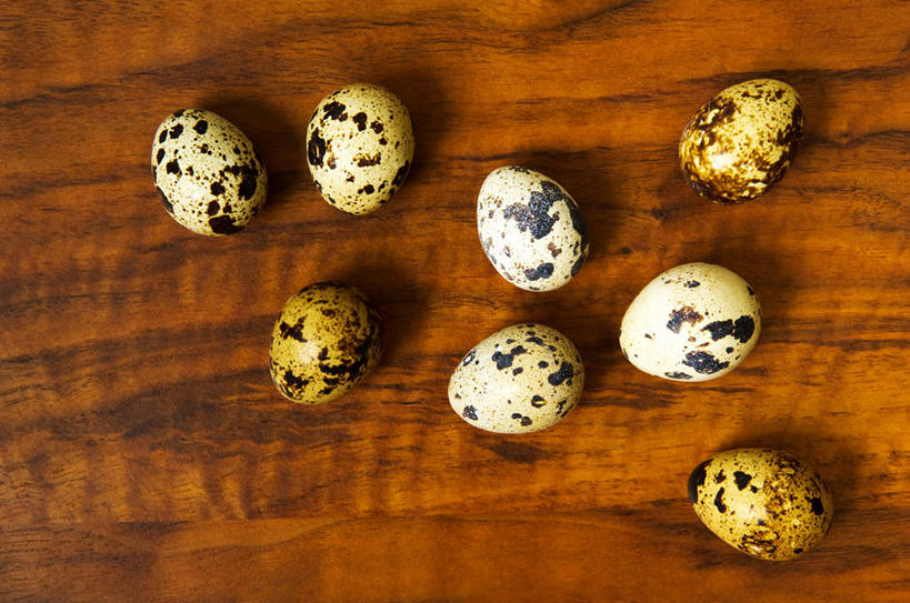 无人,横图,俯视,室内,特写,白天,桌面,桌子,木制,蛋,鹌鹑蛋,木制品,摄影,影棚,卵,鹌鹑卵,鹑鸟蛋,彩图,高角度拍摄,影棚拍摄,拍摄