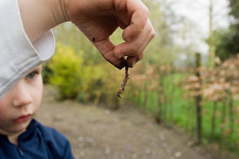 西方人,儿童,手,一个人,举,捏,横图,室外,特写,白天,正面,纯洁,草地,草坪,植物,野生动物,欧洲,欧洲人,仅一个男性,仅一个人,服装,朦胧,模糊,昆虫,捏着,注视,休闲装,草,树,树木,小孩,衣服,蓝色,绿色,自然,动物,观察,看,托,仅一个小孩,休闲,手部,休闲服,可爱,童年,童趣,服饰,活泼,生长,成长,观看,单手,察看,关注,蚯蚓,童真,烂漫,无邪,地虫,地龙,坚蚕,蛐蟮,天真,男孩,男人,男性,白种人,孩子,举起,举手,举着,向上举,向上伸,向上托,半身,彩图,男生