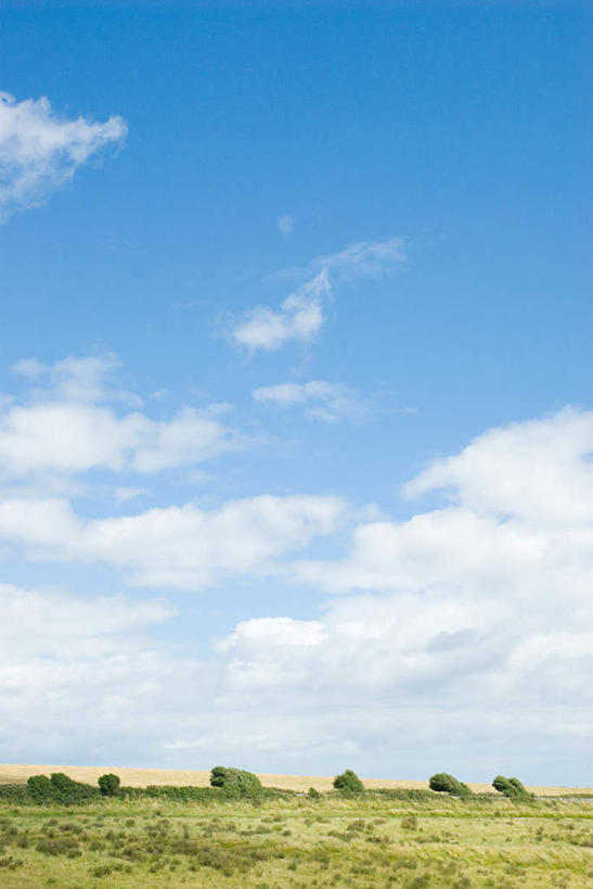 无人,竖图,室外,白天,仰视,旅游,度假,草地,草坪,美景,植物,英国,欧洲,阴影,光线,影子,地平线,景观,云,云朵,辽阔,地面,云彩,娱乐,草,树,树木,蓝色,绿色,白云,蓝天,天空,阳光,自然,天,享受,休闲,广阔,景色,放松,生长,晴朗,成长,一望无际,西欧,自然风光,延伸,大不列颠,多塞特郡,大不列颠及北爱尔兰联合王国,天地相交,大不列颠联合王国,日不落英帝国,无边无际,一马平川,多塞特,晴空,彩图,低角度拍摄