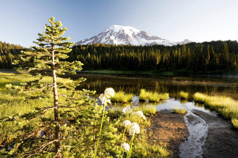 无人,横图,室外,白天,正面,旅游,度假,草地,草坪,火山,河流,美景,山,水,雪,雪山,植物,大雪,华盛顿,美国,阴影,波纹,光线,影子,冰,河水,积雪,景观,山峰,水流,雪景,冬季,冬天,涟漪,山峦,娱乐,草,树,树木,蓝色,绿色,倒影,蓝天,水纹,天空,阳光,自然,波浪,天,享受,休闲,景色,放松,寒冷,生长,晴朗,成长,冰冷,倒映,北美,北美洲,自然风光,美洲,华盛顿州,西雅图,雷尼尔山,雷尼尔山国家公园,万里无云,瑞尼尔山国家公园,水晕,常绿之州,常青州,北亚美利加洲,亚美利加洲,严寒,冰凉,酷寒,凛冽,凛凛,极冷,绿宝石城,翡翠之城,雨城,常绿之城,阿拉斯加门户,女王之城,喷气机之城,常青城,反照,瑞尼尔山,活火山,晴空,晴空万里,彩图