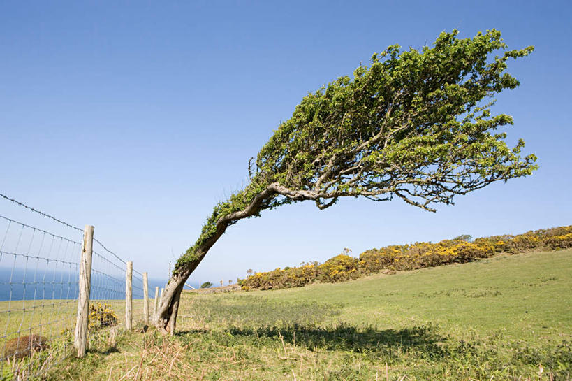 无人,横图,室外,白天,正面,旅游,度假,草地,草坪,美景,水,植物,英国,欧洲,阴影,光线,影子,河水,景观,水流,娱乐,草,树,树木,蓝色,绿色,蓝天,天空,阳光,自然,天,享受,休闲,景色,放松,生长,晴朗,成长,西欧,自然风光,大不列颠,威尔士,暴风,大不列颠及北爱尔兰联合王国,万里无云,大不列颠联合王国,日不落英帝国,威尔士公国,狂风,晴空,晴空万里,彩图