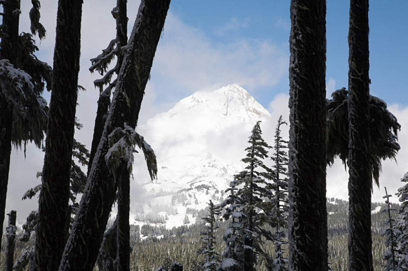 无人,公园,横图,室外,白天,仰视,旅游,度假,美景,山,树林,雪,雪山,植物,雾,大雪,美国,阴影,朦胧,模糊,光线,影子,冰,积雪,景观,山峰,雪景,云,云朵,冬季,冬天,山峦,云彩,娱乐,树,树木,蓝色,绿色,白云,蓝天,天空,阳光,自然,天,享受,休闲,景色,放松,寒冷,生长,晴朗,成长,迷雾,冰冷,北美,北美洲,国家公园,自然风光,美洲,俄勒冈州,俄勒冈,北亚美利加洲,亚美利加洲,严寒,冰凉,酷寒,凛冽,凛凛,极冷,落日之州,水獭之州,海狸州,国家森林公园,胡德山,胡德山国家森林公园,大雾,晴空,彩图,低角度拍摄