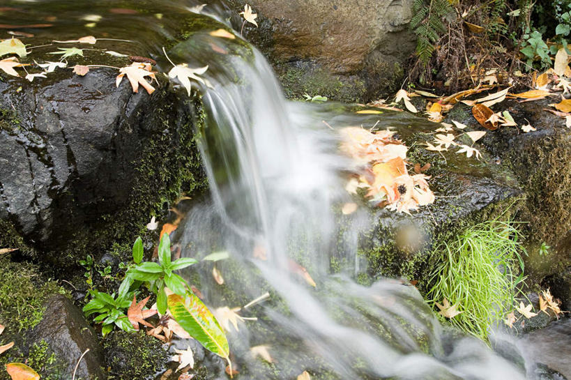 无人,横图,俯视,室外,特写,白天,旅游,度假,河流,美景,瀑布,山,山脉,水,叶子,美国,阴影,飞溅,溅,光线,液体,影子,河水,景观,山峰,水滴,水流,枯叶,落叶,山峦,娱乐,水珠,阳光,自然,群山,享受,休闲,景色,放松,北美,北美洲,喷洒,自然风光,美洲,曝光,俄勒冈州,俄勒冈,北亚美利加洲,亚美利加洲,落日之州,水獭之州,海狸州,暴光,胡德山,叶,叶片,跌水,彩图,高角度拍摄