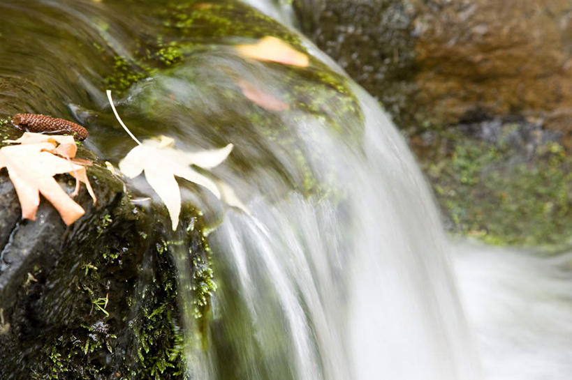 无人,横图,俯视,室外,特写,白天,旅游,度假,河流,美景,瀑布,山,山脉,水,叶子,美国,阴影,飞溅,溅,光线,液体,影子,河水,景观,山峰,水滴,水流,枯叶,落叶,山峦,娱乐,水珠,阳光,自然,群山,享受,休闲,景色,放松,北美,北美洲,喷洒,自然风光,美洲,曝光,俄勒冈州,俄勒冈,北亚美利加洲,亚美利加洲,落日之州,水獭之州,海狸州,暴光,胡德山,叶,叶片,跌水,彩图,高角度拍摄