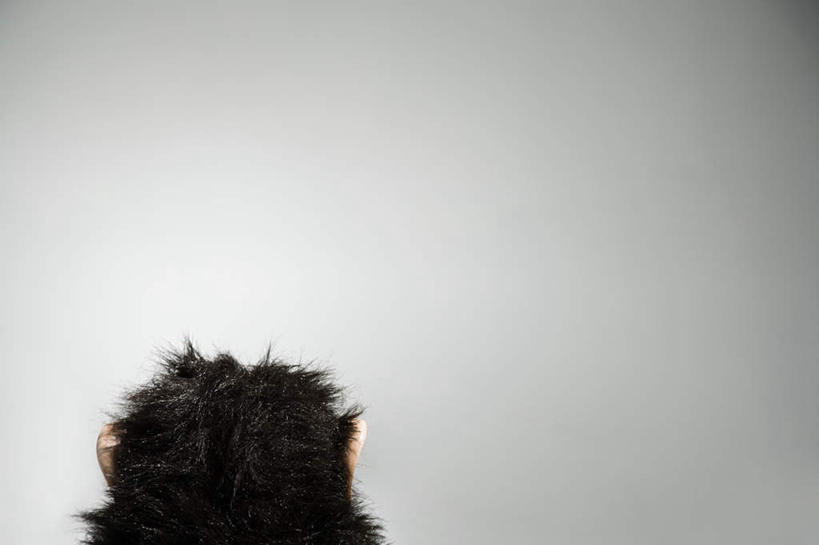 无人,横图,室内,特写,白天,正面,游戏,哺乳动物,猴,野生动物,猴子,静物,玩具,灰色背景,玩,娱乐,一只,动物,休闲,可爱,益智,摄影,活泼,影棚,活动,发泄,消遣,智力,宣泄,玩耍,嬉戏,彩图,影棚拍摄,拍摄