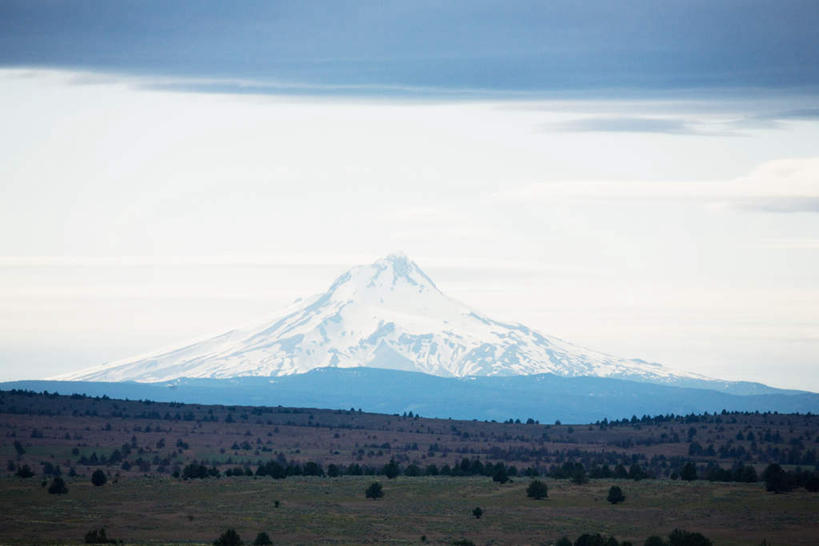 无人,横图,室外,白天,正面,旅游,度假,草地,草坪,美景,山,山脉,雪,植物,大雪,美国,积雪,景观,山峰,雪景,冬季,冬天,山峦,娱乐,草,树,树木,绿色,自然,群山,享受,休闲,景色,放松,寒冷,生长,成长,北美,北美洲,自然风光,美洲,俄勒冈州,俄勒冈,北亚美利加洲,亚美利加洲,严寒,落日之州,水獭之州,海狸州,胡德山,彩图