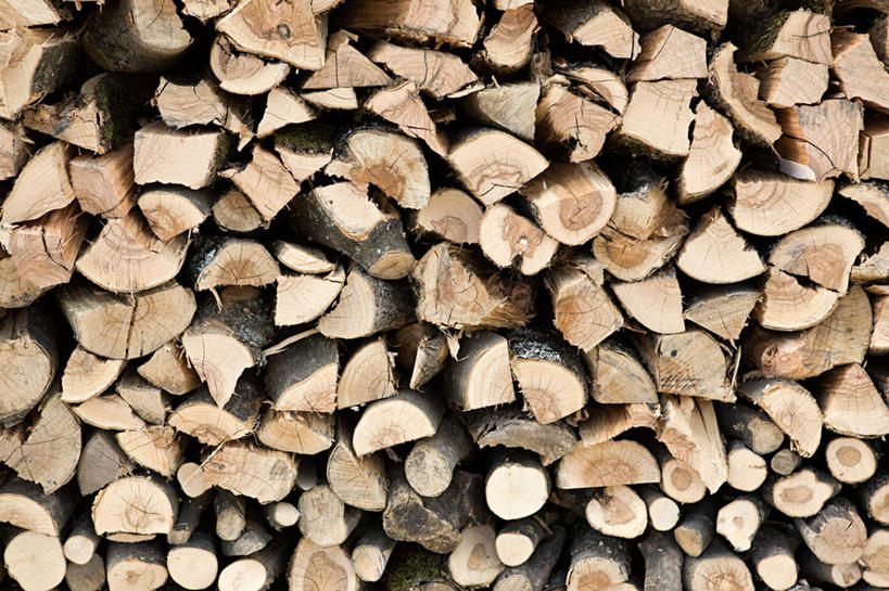 无人,横图,室外,特写,白天,正面,静物,一排,许多,整齐,木材,很多,木柴,排列,木料,堆,伐木,队列,砍木,彩图