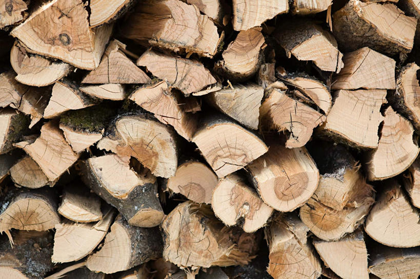 无人,横图,室外,特写,白天,正面,静物,一排,许多,整齐,木材,很多,木柴,排列,木料,堆,伐木,队列,砍木,彩图