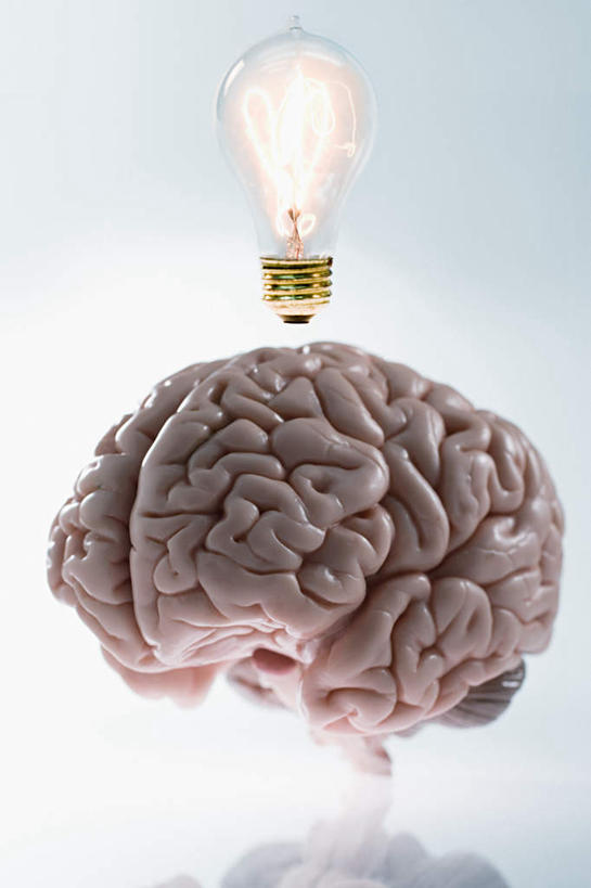 无人,竖图,室外,特写,白天,正面,静物,照明,大脑,阴影,反射,光线,灯泡,影子,灯光,灯,一个,灯具,摄影,白炽灯,影棚,单个,照亮,器官,沟壑,照明工具,小脑,脑干,白炽灯泡,大脑皮层,端脑,沟,灰质,回,间脑,彩图,影棚拍摄,拍摄