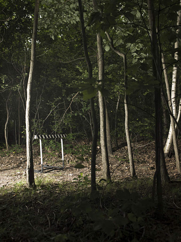 无人,竖图,室外,夜晚,正面,锻炼,快乐,比赛,运动,竞争,草地,草坪,森林,树林,植物,朦胧,模糊,树桩,娱乐,草,树,树干,树木,绿色,自然,休闲,木桩,生长,成长,体育运动,体育,跨栏,彩图,健身