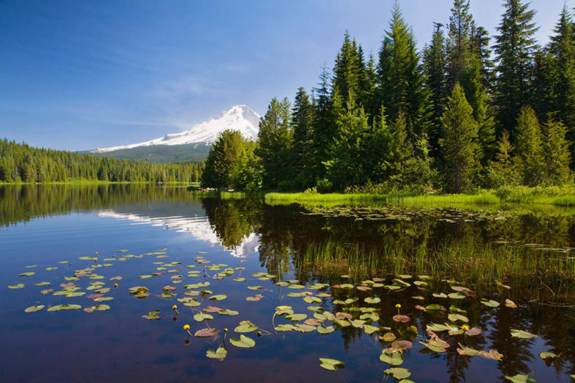 无人,公园,横图,室外,白天,正面,旅游,度假,草地,草坪,湖,湖泊,美景,山,树林,水,雪,雪山,植物,大雪,叶子,美国,冰,湖面,积雪,景观,山峰,水流,水面,雪景,冬季,冬天,枫叶,枯叶,落叶,山峦,娱乐,草,树,树木,黄色,红色,蓝色,绿色,蓝天,天空,自然,湖水,天,享受,休闲,景色,放松,寒冷,生长,晴朗,成长,枫树叶,冰冷,北美,北美洲,国家公园,自然风光,美洲,俄勒冈州,万里无云,俄勒冈,北亚美利加洲,亚美利加洲,严寒,冰凉,酷寒,凛冽,凛凛,极冷,落日之州,水獭之州,海狸州,国家森林公园,胡德山,胡德山国家森林公园,叶,叶片,晴空,晴空万里,彩图
