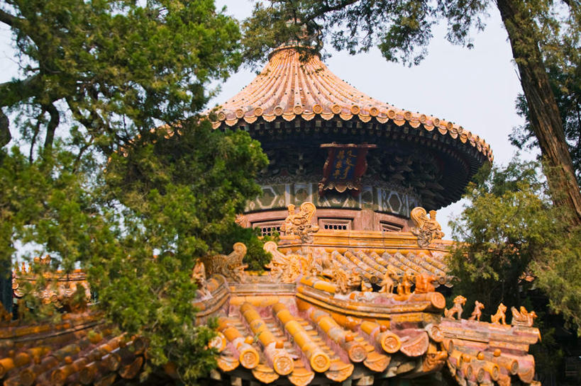 无人,故宫,宫殿,横图,室外,白天,仰视,旅游,度假,名胜古迹,植物,标志建筑,地标,建筑,北京,中国,亚洲,阴影,遗迹,光线,瓦片,影子,屋顶,首都,顶棚,瓦,古迹,文物,娱乐,建设,古建筑,树,树木,蓝色,绿色,蓝天,天空,阳光,自然,紫禁城,天,享受,休闲,旅游胜地,放松,生长,晴朗,成长,权利,古文明,东亚,屋瓦,万里无云,中华人民共和国,北京市,京,北平,华北地区,北京故宫博物院,晴空,晴空万里,彩图,低角度拍摄