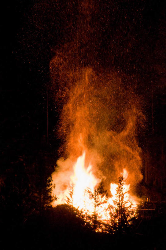 无人,竖图,室外,夜晚,仰视,热情,山,山脉,树林,植物,火,华盛顿,美国,火焰,山峰,山峦,燃烧,树,树木,绿色,自然,群山,生长,成长,北美,北美洲,火灾,灾难,美洲,华盛顿州,常绿之州,常青州,北亚美利加洲,亚美利加洲,喀斯喀特山脉,北喀斯喀特山国家公园,北卡斯卡德山国家公园,北喀斯开国家公园,劫难,磨难,灾祸,北瀑布国家公园,彩图,低角度拍摄,灾害