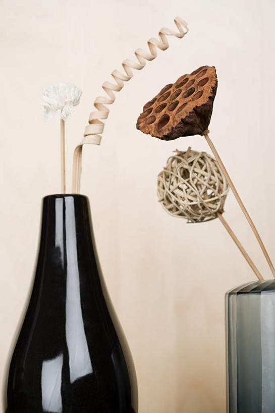 无人,竖图,室内,特写,白天,正面,蔬菜,花瓶,阴影,黄色背景,盛开,干枯,反射,影子,陶瓷,陶瓷制品,花蕾,藕,花,花瓣,花朵,鲜花,一个,黑色,瓶子,干花,花苞,花蕊,摄影,影棚,单个,干涸,凋谢,枯槁,莲藕,彩图,影棚拍摄,拍摄