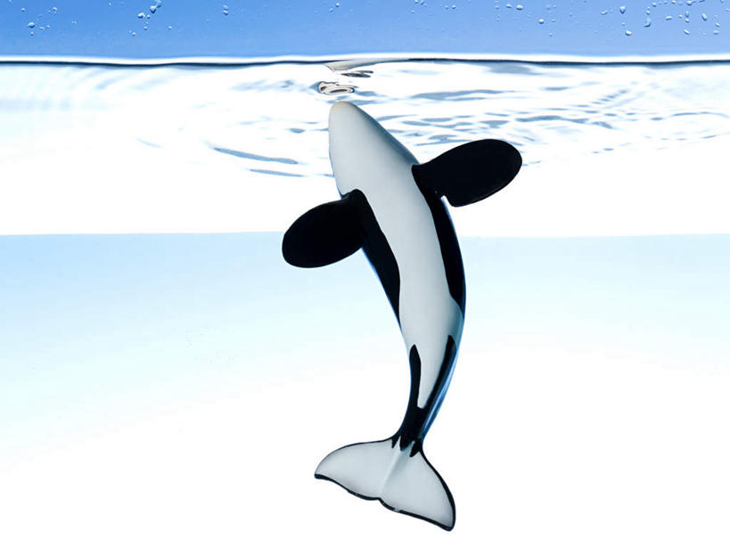 无人,横图,室内,特写,白天,正面,游戏,海底,水下,哺乳动物,鲸鱼,玩具,水底,玩,娱乐,海洋生物,动物,休闲,益智,海底世界,摄影,鲸,影棚,活动,发泄,消遣,智力,水生动物,水生物,海底动物,宣泄,鲸类,海床,玩耍,嬉戏,彩图,影棚拍摄,拍摄