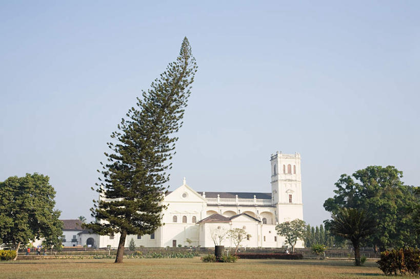 无人,教堂,横图,室外,白天,仰视,旅游,度假,草地,草坪,名胜古迹,植物,标志建筑,地标,建筑,印度,亚洲,节日,遗迹,古迹,文化,文物,娱乐,建设,古建筑,草,树,树木,蓝色,绿色,蓝天,天空,自然,天,祈祷,享受,休闲,健康,旅游胜地,放松,许愿,宗教,信仰,生长,晴朗,成长,纪念,祈求,基督教,天主教,南亚,信念,古文明,万里无云,印度共和国,果阿,果阿邦,平安,晴空,晴空万里,彩图,低角度拍摄,大教堂,礼拜堂
