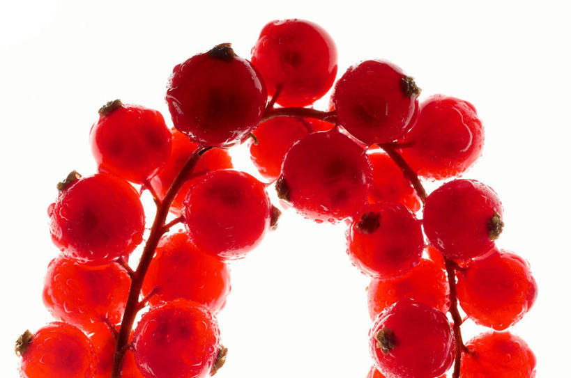 无人,横图,俯视,室内,特写,白天,白色背景,浆果,水果,一串,许多,阴影,曲折,弯曲,新鲜,反射,影子,生食,食品,果实,食物,红色,摄影,蜿蜒,有机食品,绿色食品,影棚,曼越桔,蔓越橘,小红莓,酸莓,彩图,高角度拍摄,影棚拍摄,拍摄