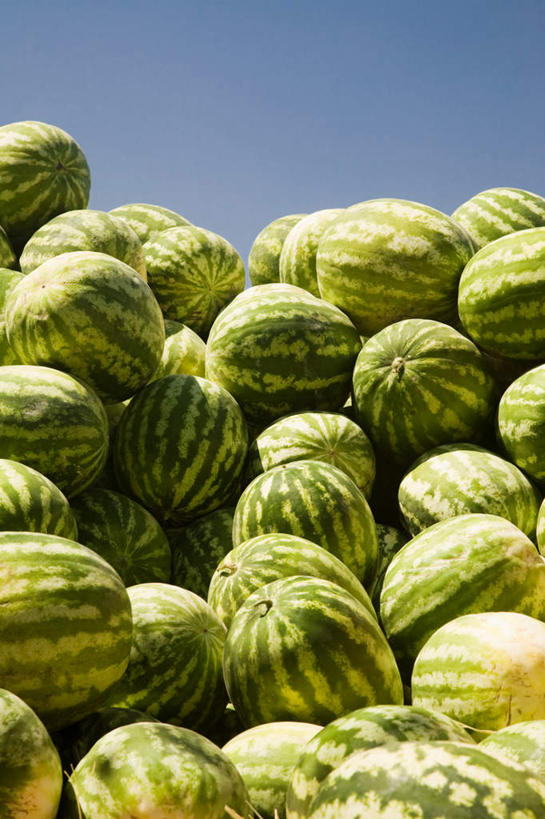 无人,竖图,室外,白天,仰视,西瓜,水果,乌兹别克斯坦,亚洲,一堆,许多,堆叠,堆积,新鲜,生食,食品,果实,食物,蓝色,蓝天,天空,天,有机食品,绿色食品,晴朗,堆,中亚,万里无云,乌兹别克斯坦共和国,撒马尔罕,撒马尔罕州,晴空,晴空万里,寒瓜,彩图,低角度拍摄