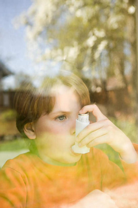 西方人,儿童,脸,头,脸颊,手,一个人,站,竖图,室内,白天,正面,纯洁,植物,窗户,欧洲,欧洲人,仅一个男性,仅一个人,握,服装,朦胧,模糊,拿,拿着,注视,休闲装,玻璃窗,树,树木,小孩,衣服,绿色,自然,观察,看,站着,仅一个小孩,休闲,手部,休闲服,可爱,童年,童趣,握着,服饰,生长,成长,观看,察看,医疗设备,疾病,关注,医疗器械,童真,烂漫,无邪,哮喘病,支气管哮喘,呼吸道疾病,哮踹,雾化吸入器,吸入器,天真,男孩,男人,男性,白种人,孩子,头部,脸部,脸蛋,面部,站立,半身,彩图,男生