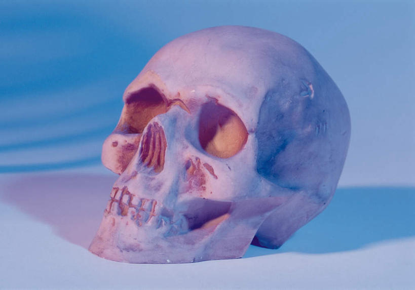 脸,头,脸颊,骨骼,无人,横图,俯视,室内,特写,白天,阴影,蓝色背景,朦胧,模糊,反射,骷髅,影子,骨头,一个,摄影,影棚,单个,骨架,骷髅头,头部,脸部,脸蛋,面部,彩图,高角度拍摄,影棚拍摄,拍摄