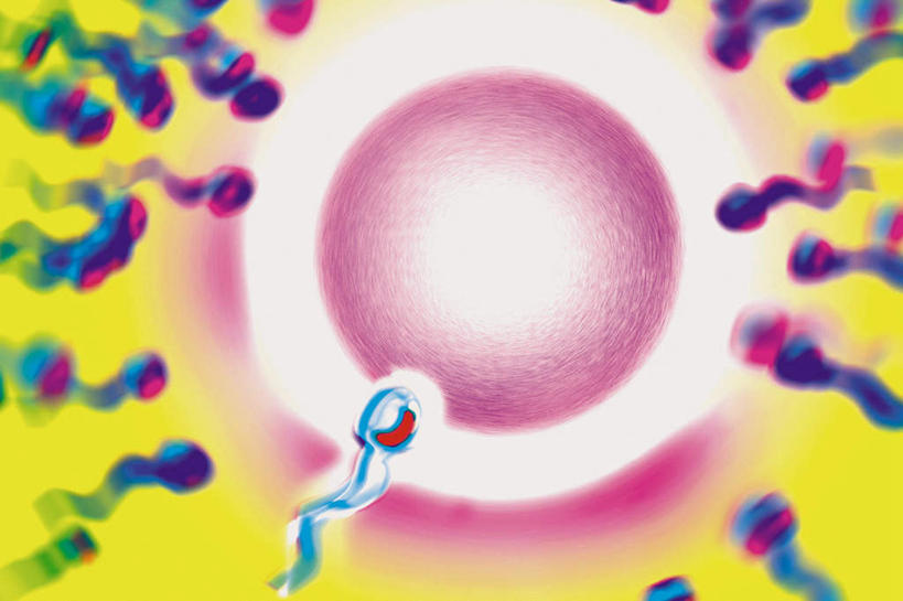 无人,横图,室内,白天,正面,数码,科技,阴影,网络,高光,几何,计算机图形,合成,精子,怀孕,电脑合成图,数码合成图,合成图,写实,具体,具象,卵,彩图