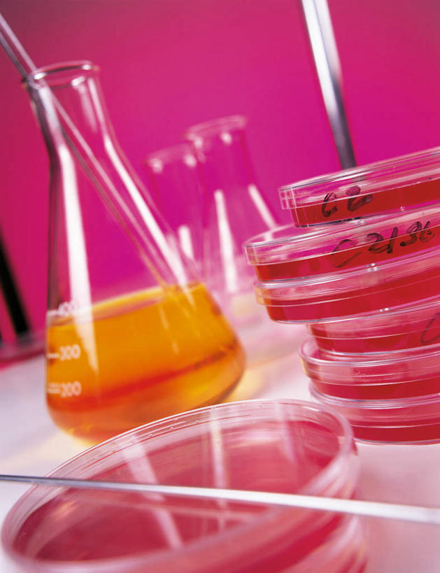 无人,竖图,室内,特写,白天,正面,实验,仪器,静物,玻璃,一堆,许多,阴影,堆叠,堆积,粉色背景,朦胧,模糊,研究,透明,反射,分析,化学,测试,培养皿,烧瓶,液体,影子,锥形瓶,玻璃制品,玻璃棒,玻璃瓶,瓶子,搅拌,橙色,器皿,生物,摄影,影棚,堆,皮氏培养皿,玻璃仪器,试验耗材,实验用品,化学器材,三角烧瓶,依氏烧瓶,锥形烧瓶,引流,玻棒,彩图,影棚拍摄,拍摄