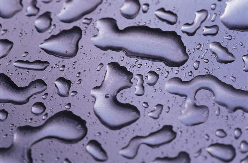 无人,横图,室内,特写,白天,正面,水,露水,许多,阴影,透明,反射,液体,影子,水滴,水珠,露珠,摄影,影棚,生机,剔透,灵动,通明,彩图,影棚拍摄,拍摄,晶莹