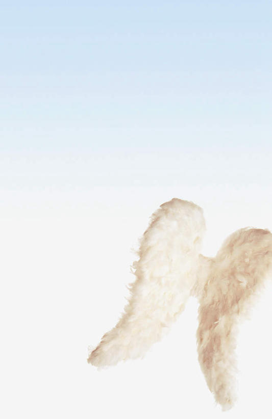 无人,竖图,室内,白天,正面,天使,阴影,蓝色背景,反射,翅膀,影子,白色,摄影,影棚,神圣,善良,信徒,使者,圣洁,彩图,影棚拍摄,拍摄