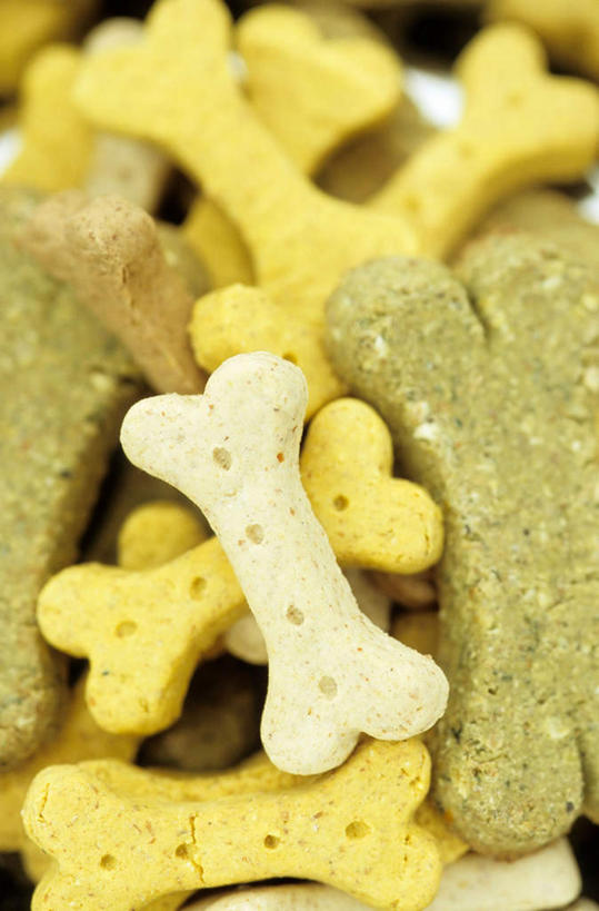 无人,竖图,俯视,室内,特写,白天,一堆,许多,阴影,堆叠,堆积,朦胧,模糊,反射,影子,食品,骨头,食物,堆,狗粮,彩图,高角度拍摄