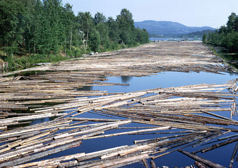 无人,横图,俯视,室外,白天,旅游,度假,草地,草坪,河流,美景,山,树林,水,植物,欧洲,芬兰,许多,漂浮,浮,木材,木头,河水,景观,山峰,水流,山峦,娱乐,草,树,树木,蓝色,绿色,蓝天,天空,自然,天,享受,休闲,景色,放松,生长,成长,自然风光,北欧,斯堪的纳维亚半岛,彩图,高角度拍摄