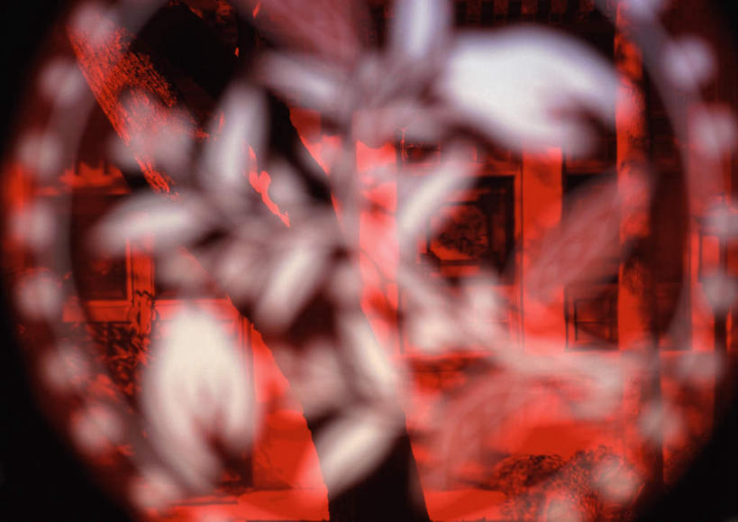 无人,横图,室内,白天,正面,植物,窗户,北京,中国,亚洲,朦胧,模糊,首都,文化,玻璃窗,树,树木,红色,绿色,自然,剪纸,喜庆,生长,成长,东亚,窗花,中华人民共和国,北京市,京,北平,华北地区,彩图,传统文化