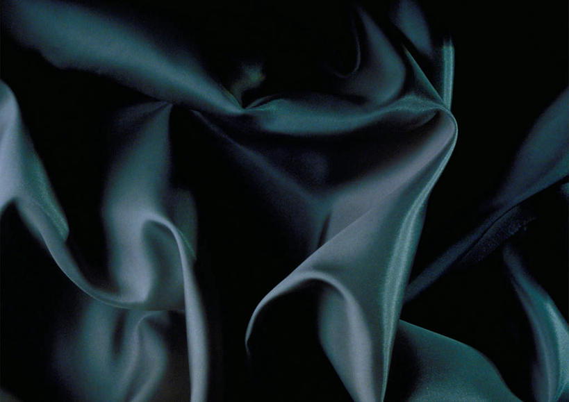 无人,横图,俯视,室内,特写,白天,纺织品,一条,黑色背景,朦胧,模糊,丝绸,绸缎,织物,纺织,黑色,摄影,影棚,布匹,彩图,高角度拍摄,影棚拍摄,拍摄