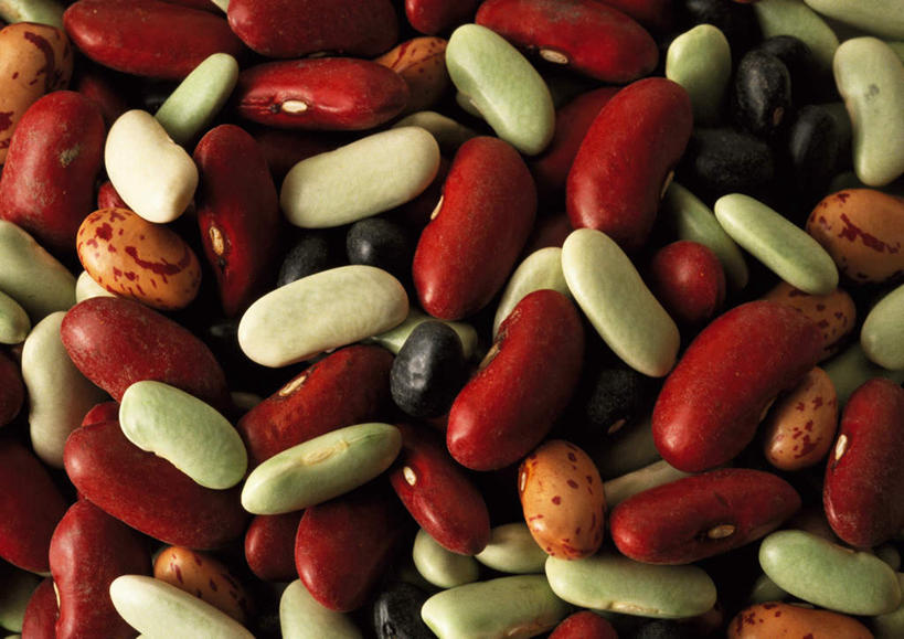 无人,横图,俯视,室内,特写,白天,植物,餐桌,桌子,豆,一堆,许多,堆叠,堆积,豆类,豆子,刀豆,四季豆,红色,白色,摄影,影棚,餐台,堆,芸豆,豆科,菜豆,二季豆,白肾豆,架豆,玉豆,去豆,彩图,高角度拍摄,影棚拍摄,拍摄