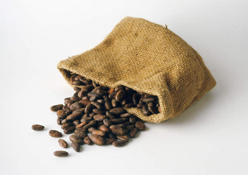 无人,横图,俯视,室内,特写,白天,白色背景,豆,袋子,一堆,许多,堆叠,堆积,布袋,豆类,果实,种子,可可,一个,黄色,巧克力,摄影,影棚,单个,堆,可可豆,可可子,彩图,高角度拍摄,影棚拍摄,拍摄