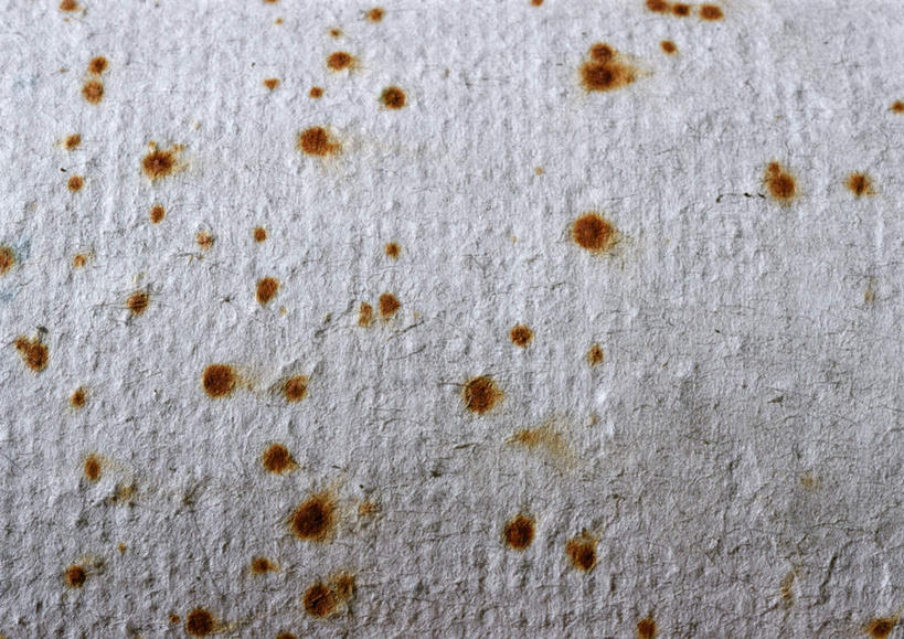 无人,横图,俯视,室内,特写,白天,一张,许多,散落,纸,斑点,凌乱,白色,肮脏,杂乱,彩图,高角度拍摄