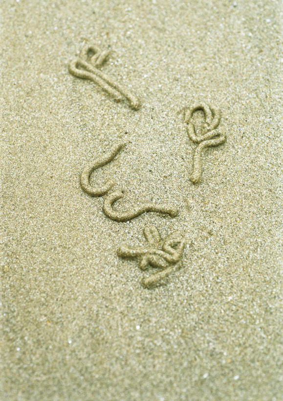 无人,竖图,俯视,室外,特写,白天,旅游,度假,美景,沙滩,静物,沙子,海岸,景观,沙地,娱乐,自然,享受,休闲,景色,放松,自然风光,粪便,排泄物,海滩,彩图,高角度拍摄