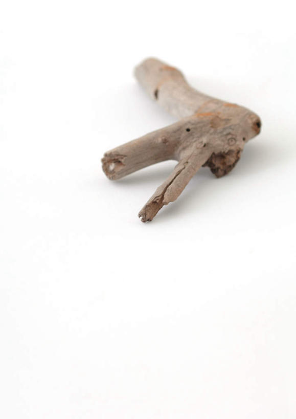 无人,竖图,俯视,室内,特写,白天,白色背景,美景,静物,朦胧,模糊,浮木,木头,景观,枯木,一个,自然,景色,摄影,影棚,单个,自然风光,彩图,高角度拍摄,影棚拍摄,拍摄