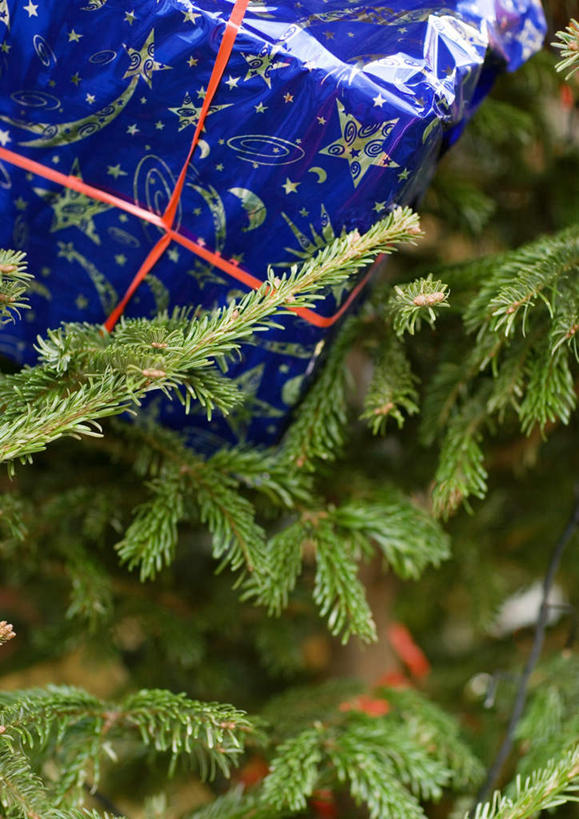 无人,竖图,室内,白天,正面,植物,礼盒,礼物,圣诞节,节日,庆祝,装饰,纸盒,圣诞树,文化,盒子,装饰品,树,树木,绿色,自然,包装盒,绳子,装饰物,礼品盒,庆典,礼品,生长,成长,纪念,绳索,彩图