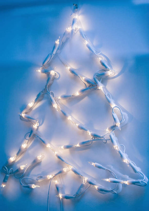 无人,竖图,室内,白天,正面,植物,台灯,圣诞节,节日,庆祝,装饰,彩灯,灯光,圣诞树,文化,灯,装饰品,树,树木,绿色,自然,装饰物,庆典,生长,成长,纪念,照明设备,彩图