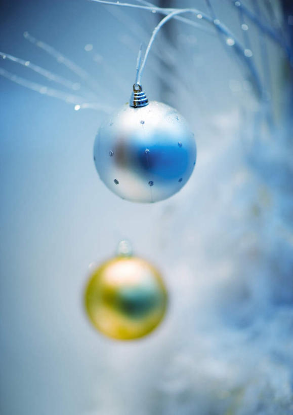 无人,竖图,室内,特写,白天,正面,植物,静物,圣诞节,悬挂,节日,朦胧,模糊,庆祝,装饰,圣诞树,圣诞球,挂,文化,彩球,球,装饰品,树,树木,两个,蓝色,绿色,自然,装饰物,庆典,球体,金色,生长,金黄色,成长,纪念,彩图