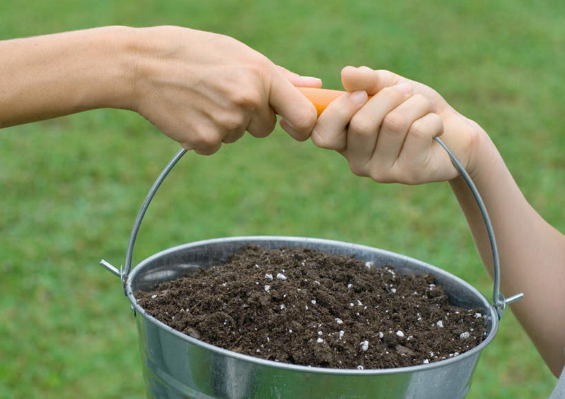 西方人,手,两个人,横图,室外,特写,白天,正面,草地,草坪,植物,欧洲,欧洲人,握,朦胧,模糊,铁桶,桶,泥土,拿,拿着,草,绿色,容器,手部,提,握着,储藏,提着,储存,年轻女性,女人,女性,白种人,半身,彩图,贮存