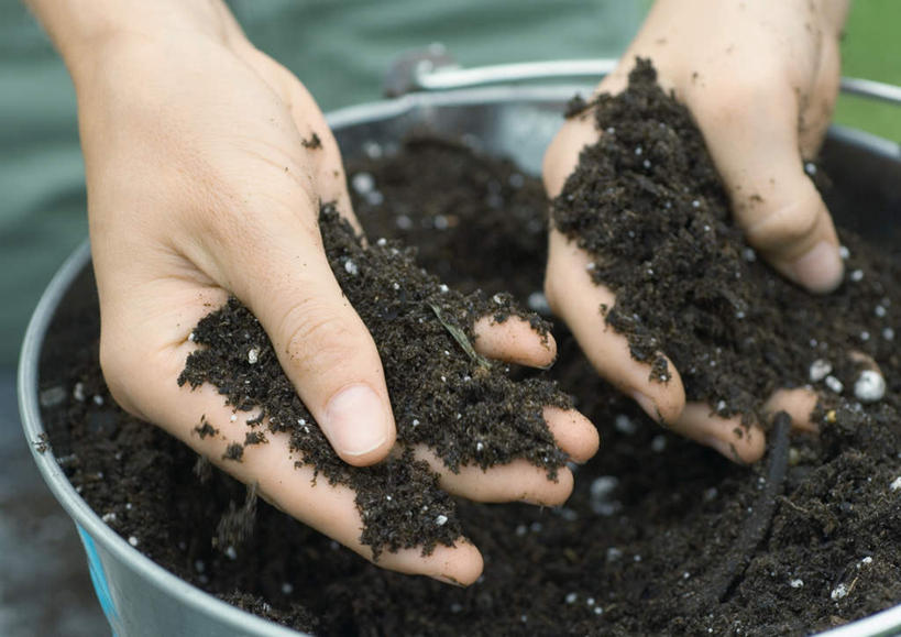 西方人,手,一个人,捧,横图,俯视,室外,特写,白天,旅游,度假,欧洲,欧洲人,仅一个年轻女性,仅一个女性,仅一个人,握,朦胧,模糊,铁桶,桶,泥土,园艺,拿,拿着,娱乐,容器,享受,休闲,手部,放松,握着,储藏,储存,户外运动,年轻女性,女人,女性,白种人,园丁,端,端着,捧着,手捧,半身,彩图,高角度拍摄,贮存