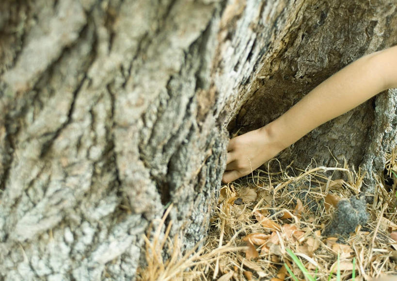 西方人,儿童,手,一个人,摸,横图,室内,白天,正面,旅游,度假,游戏,纯洁,植物,欧洲,欧洲人,仅一个女性,仅一个人,枯萎,枯草,玩,娱乐,草,树,树木,小孩,黄色,绿色,自然,仅一个小孩,享受,休闲,手部,放松,可爱,童年,童趣,生长,成长,户外运动,童真,烂漫,无邪,天真,女孩,女人,女性,白种人,孩子,胳膊,触摸,接触,玩耍,嬉戏,半身,彩图,女生