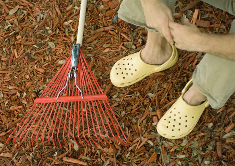 西方人,一个人,坐,横图,俯视,室外,白天,植物,帽子,欧洲,欧洲人,仅一个男性,仅一个人,枯萎,扫帚,园艺,枯草,注视,草,黄色,绿色,自然,遮阳帽,看,仅一个老年男性,生长,成长,关注,老年男性,男人,男性,白种人,园丁,抬头,仰头,坐着,半身,彩图,高角度拍摄
