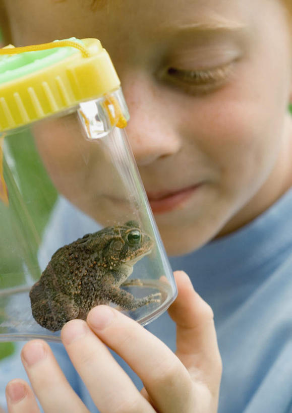 西方人,儿童,脸,头,脸颊,一个人,笑,微笑,竖图,室外,特写,白天,正面,旅游,度假,游戏,纯洁,美景,太阳,田园,青蛙,野生动物,欧洲,欧洲人,仅一个男性,仅一个人,握,阴影,朦胧,模糊,光线,影子,景观,园艺,拿,玩,拿着,注视,娱乐,盒子,小孩,阳光,自然,动物,观察,看,仅一个小孩,享受,休闲,景色,放松,可爱,童年,童趣,握着,活泼,观看,活动,察看,关注,消遣,智力,自然风光,塑料盒,户外运动,童真,烂漫,无邪,天真,男孩,男人,男性,白种人,孩子,头部,脸部,脸蛋,面部,玩耍,嬉戏,半身,彩图,男生