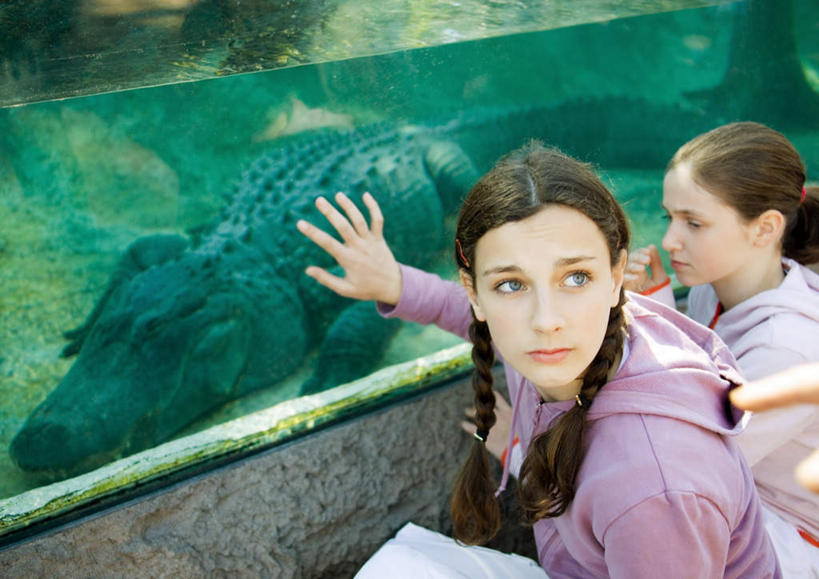 西方人,两个人,伙伴,朋友,动物园,蹲,横图,俯视,室外,白天,旅游,度假,友谊,河流,水,窗户,鳄鱼,野生动物,欧洲,欧洲人,一条,服装,河水,水流,休闲装,娱乐,玻璃窗,衣服,动物,郊游,享受,休闲,休闲服,放松,服饰,活泼,凶猛,友情,男人,男性,年轻男性,年轻女性,女人,女性,白种人,蹲着,半身,彩图,高角度拍摄