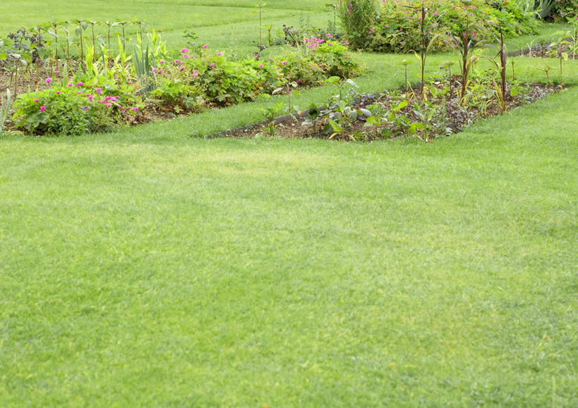 无人,花园,横图,俯视,室外,白天,旅游,度假,草地,草坪,花圃,美景,植物,景观,娱乐,草,绿色,自然,享受,休闲,景色,放松,自然风光,小花园,彩图,高角度拍摄