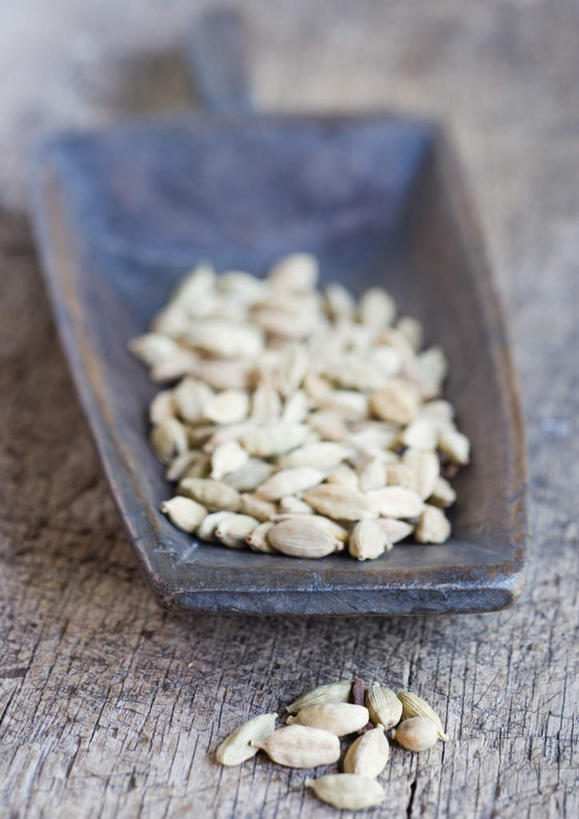 无人,竖图,俯视,室内,特写,白天,植物,许多,朦胧,模糊,铲子,工具,调料,香料,食品,草药,药草,调味品,调味料,中药,食物,摄影,影棚,豆蔻,药材,中草药,中药材,本草,消食,白豆蔻,彩图,高角度拍摄,影棚拍摄,拍摄,开胃