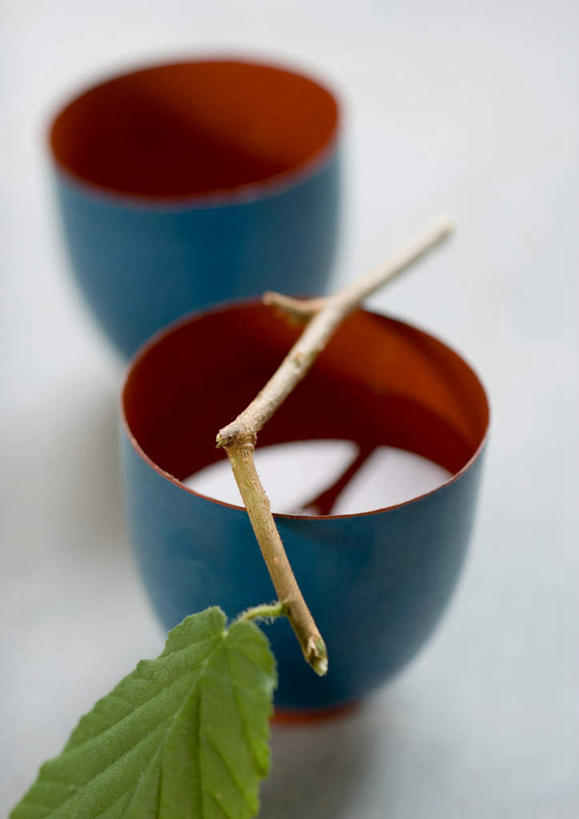 无人,竖图,俯视,室内,特写,白天,白色背景,杯子,叶子,绿叶,两杯,水杯,嫩叶,摄影,影棚,叶,叶片,茶杯,彩图,高角度拍摄,影棚拍摄,拍摄